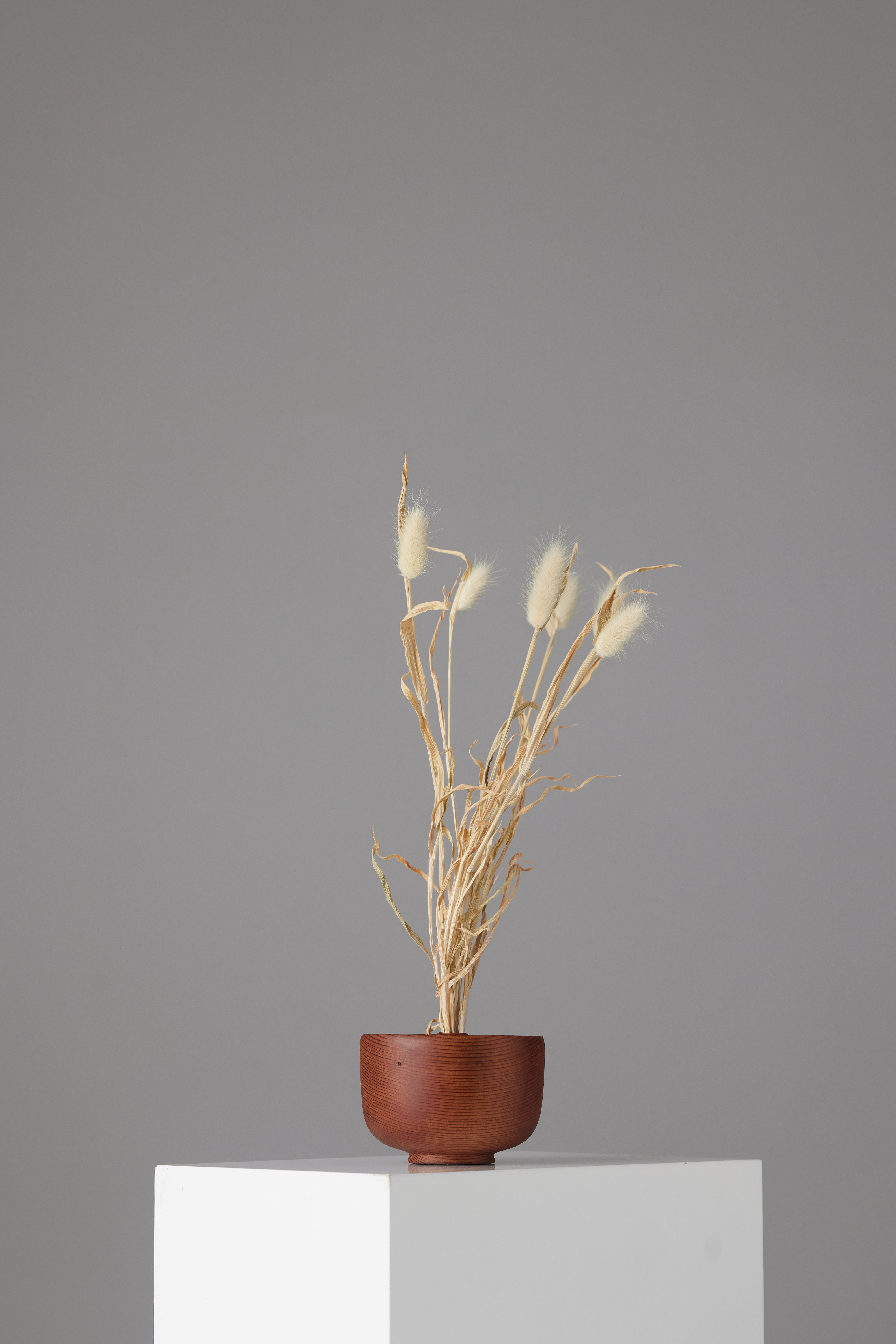 The Surcle Vase - Medium