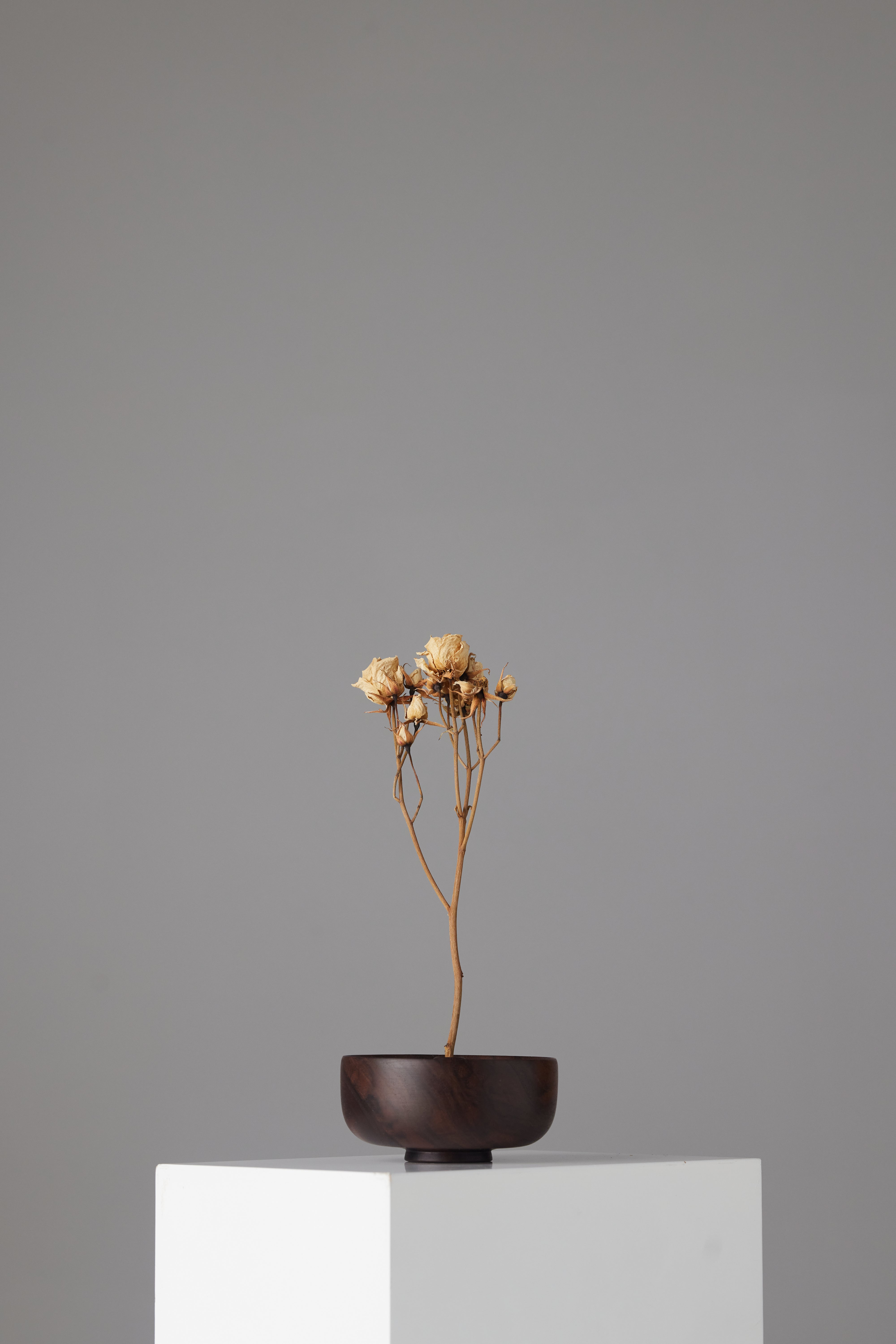 The Surcle Vase - Medium