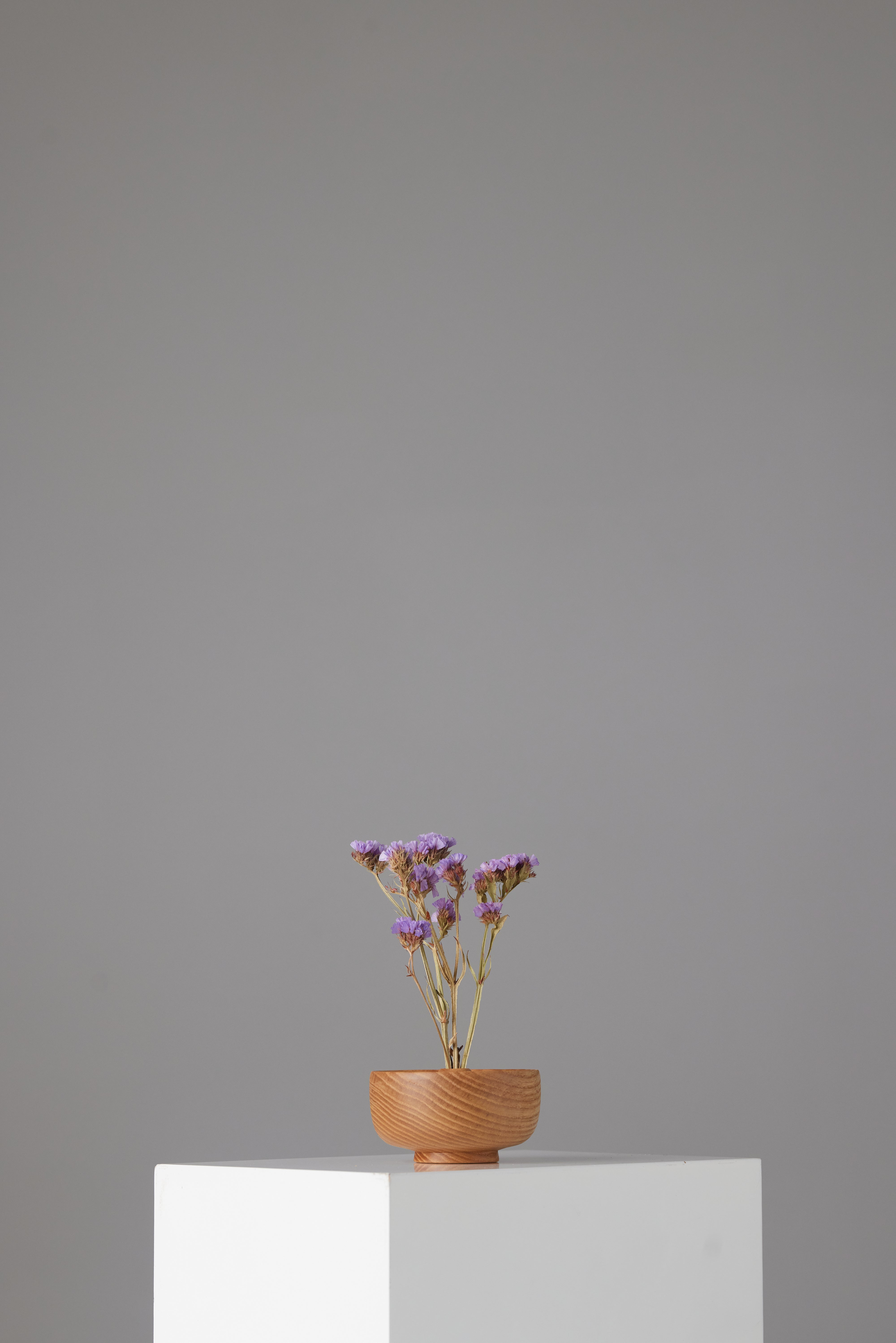 The Surcle Vase - Small