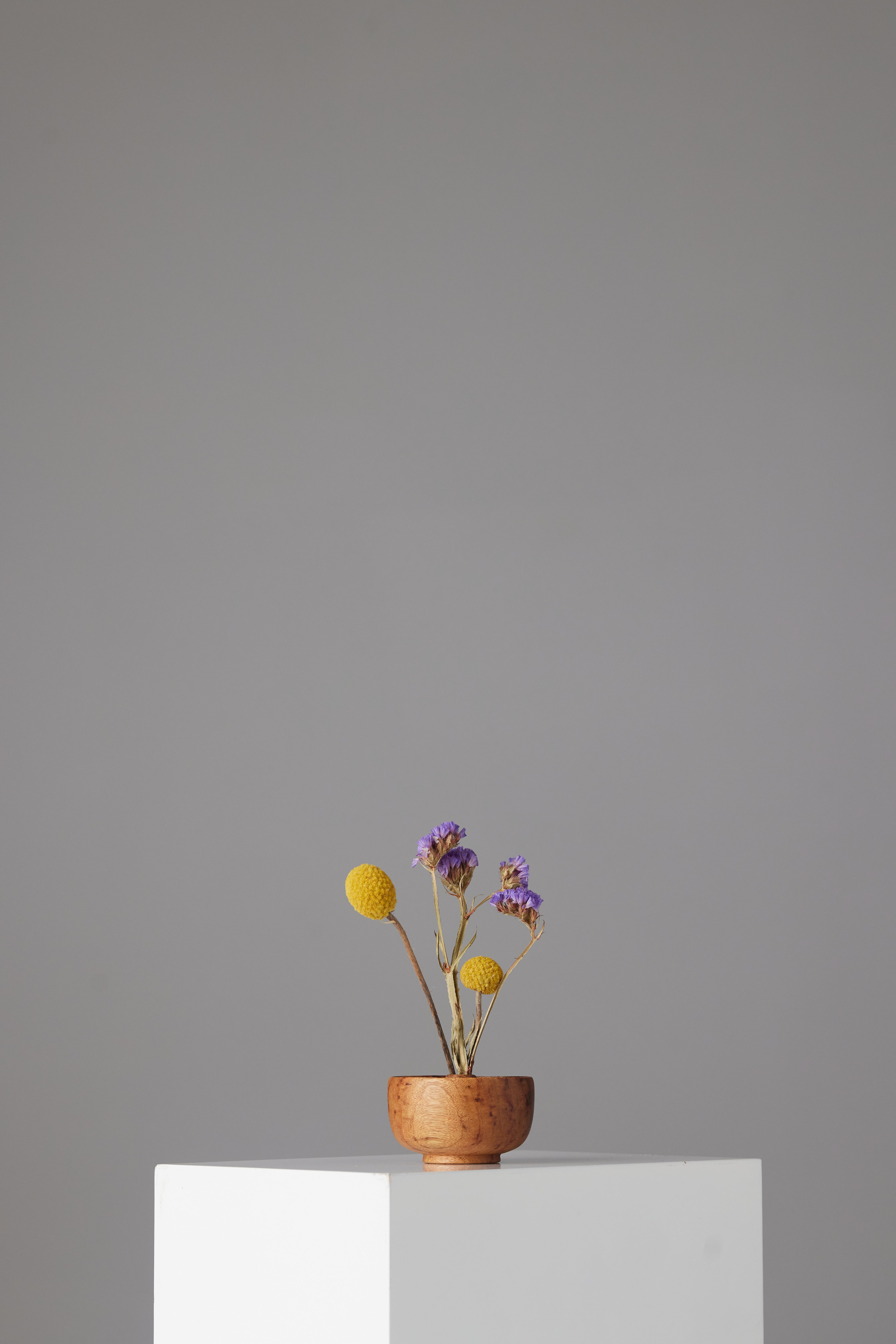 The Surcle Vase - Small