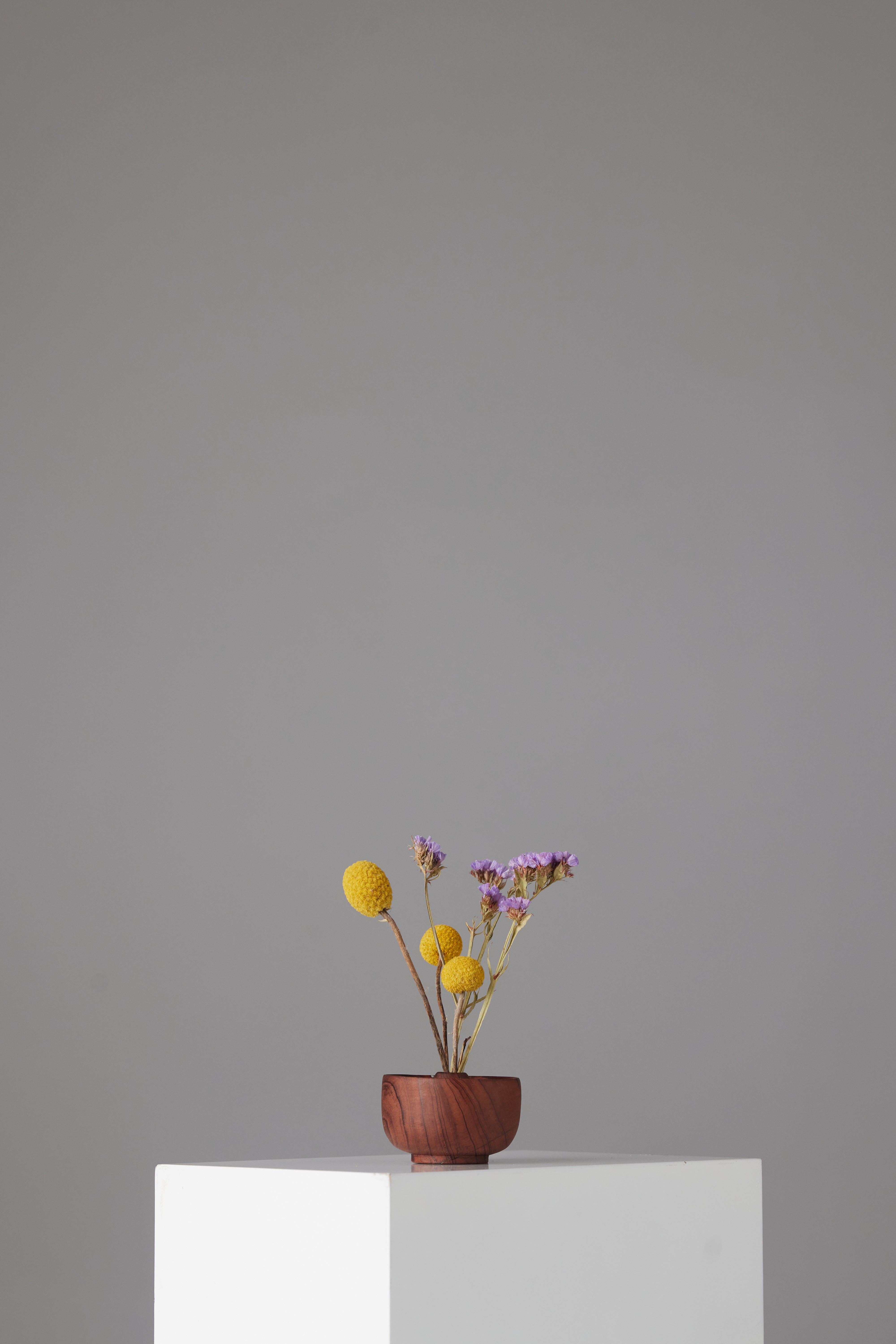 The Surcle Vase - Small