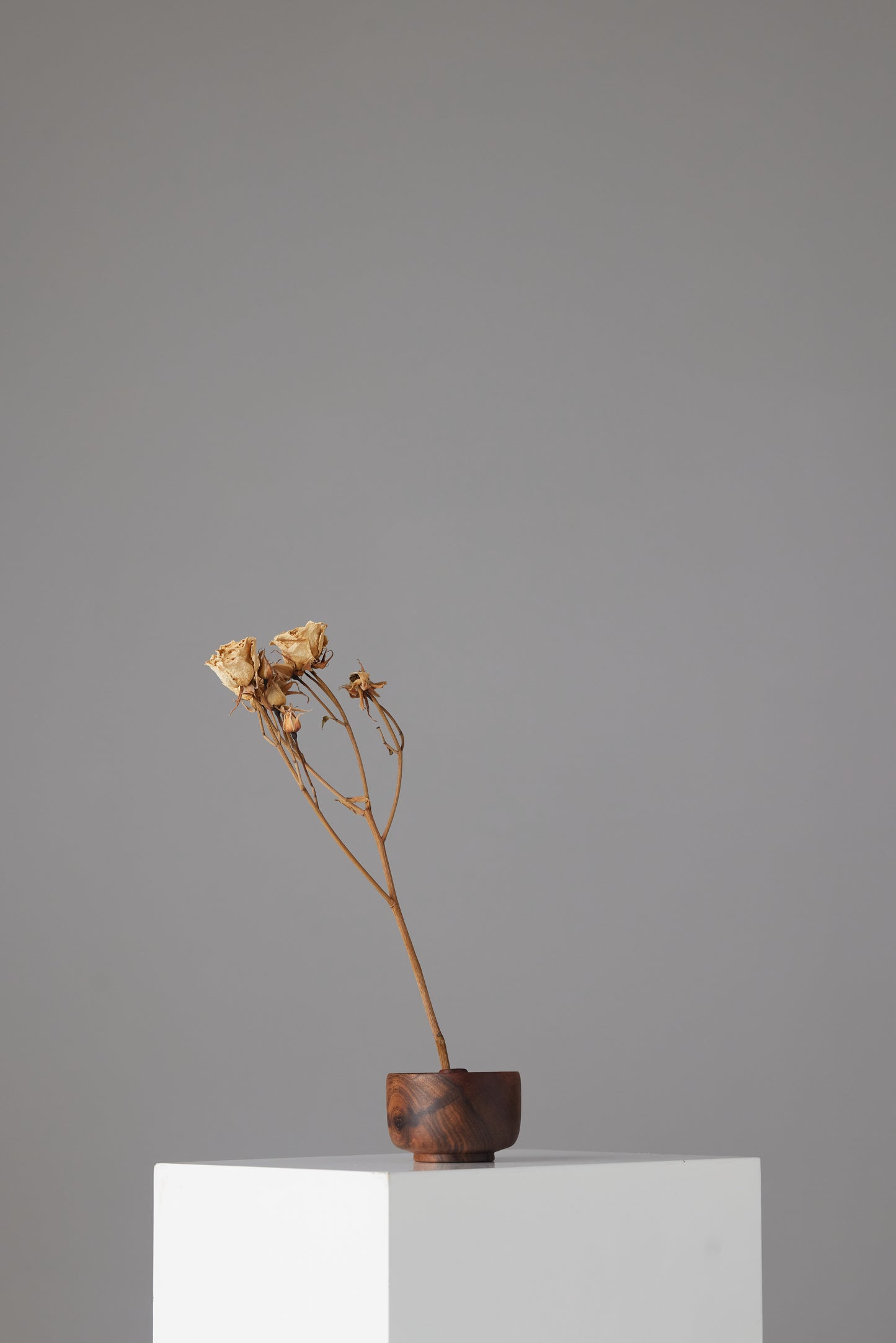 The Surcle Vase - Small