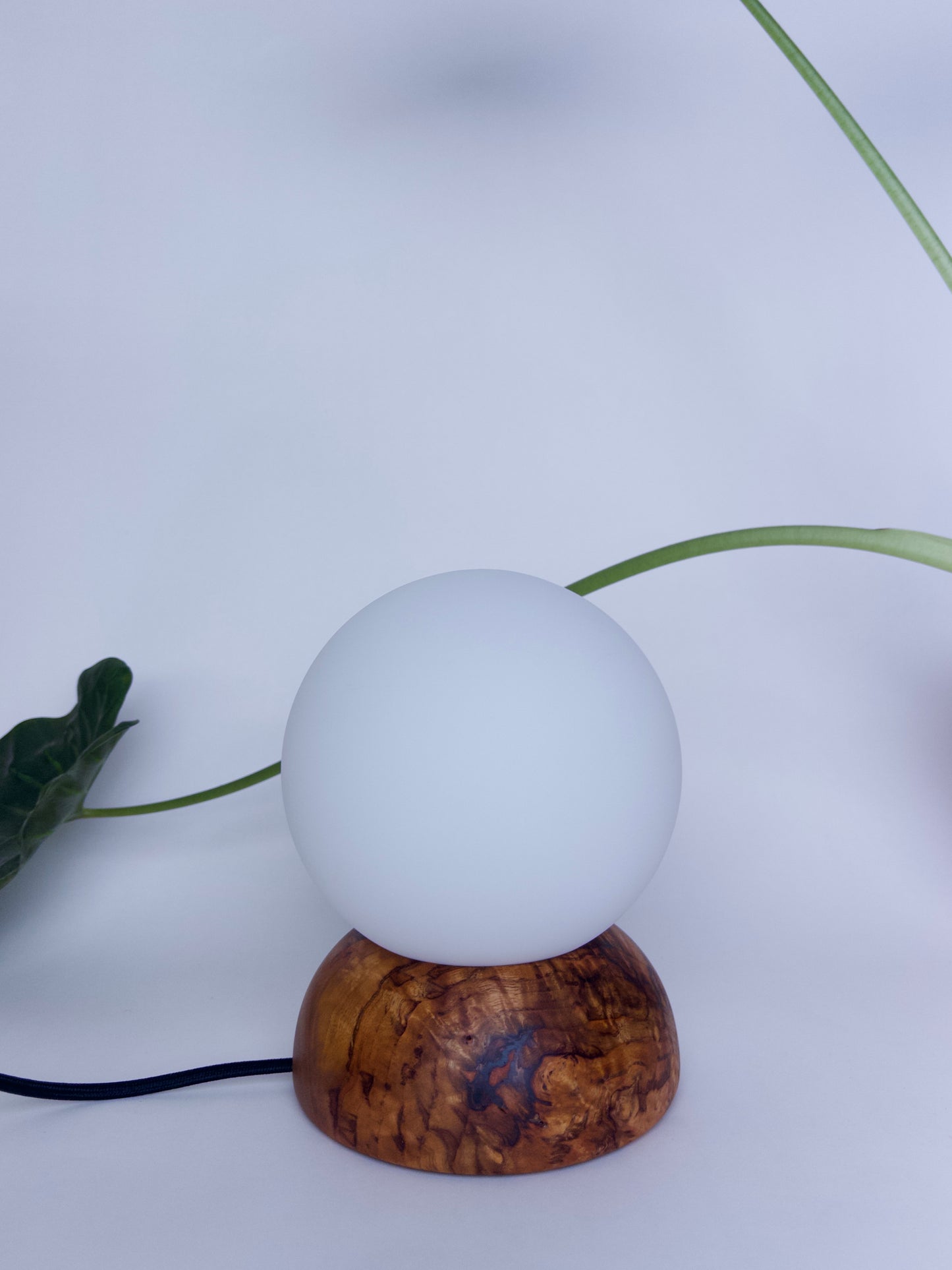 Camphor Moondrop Lamp 1