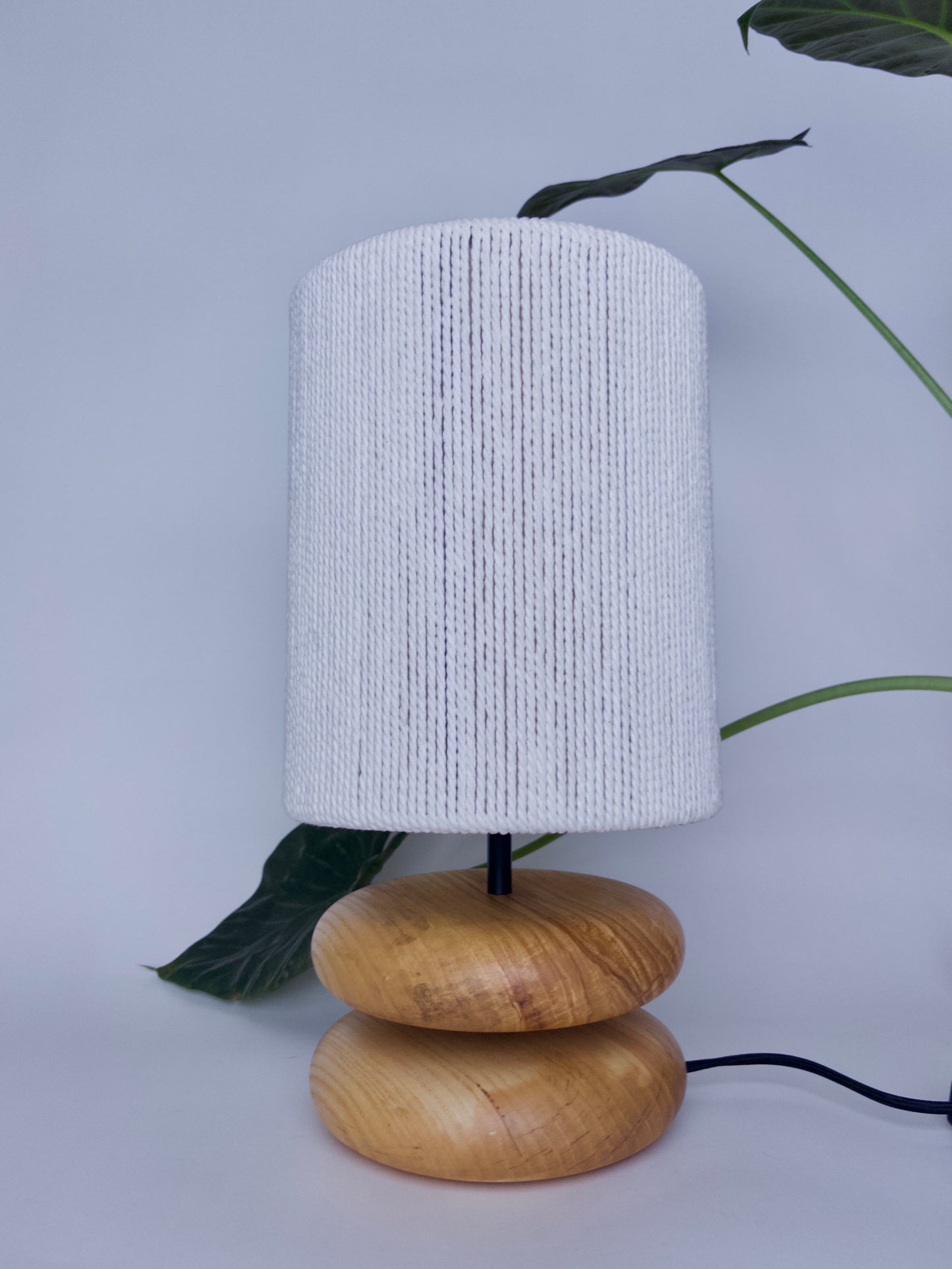 Ash River Rock Lamp