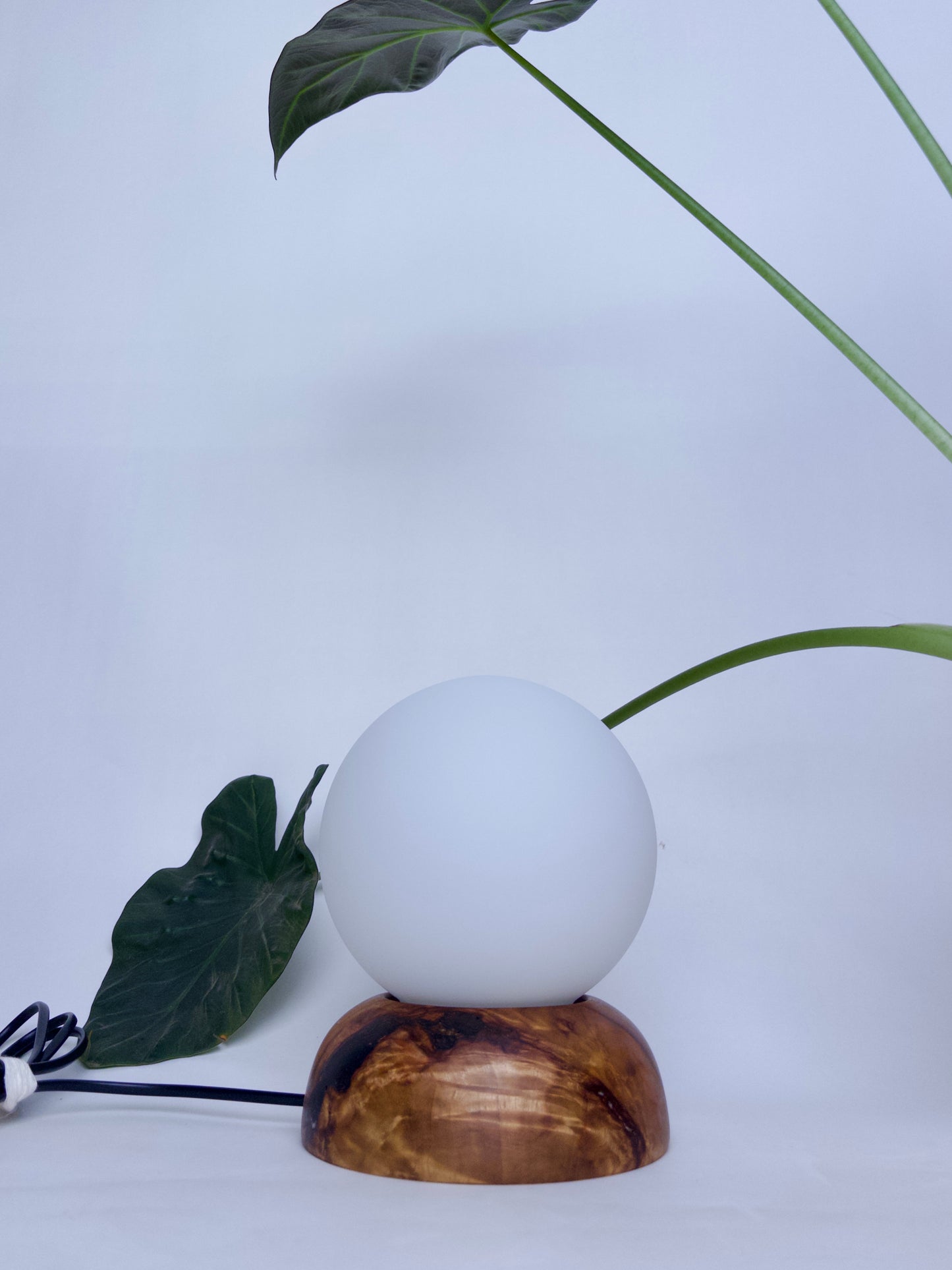 Moondrop Lamp Camphor 2