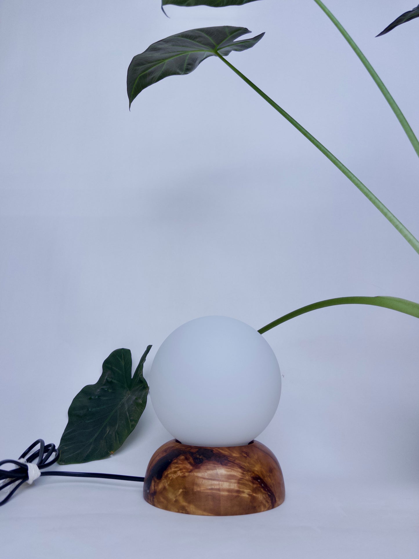 Moondrop Lamp Camphor 2