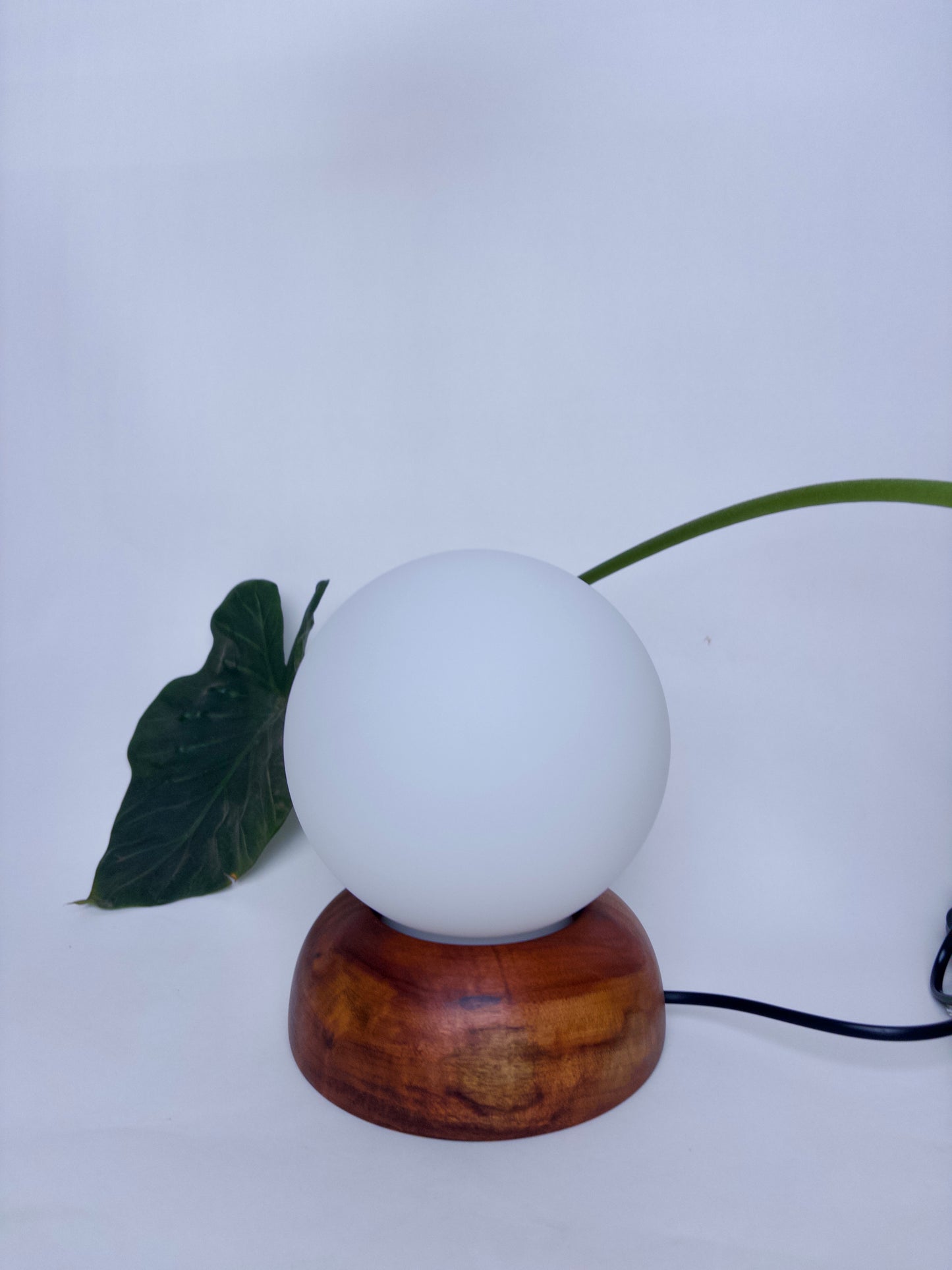 Moondrop Lamp Camphor 2