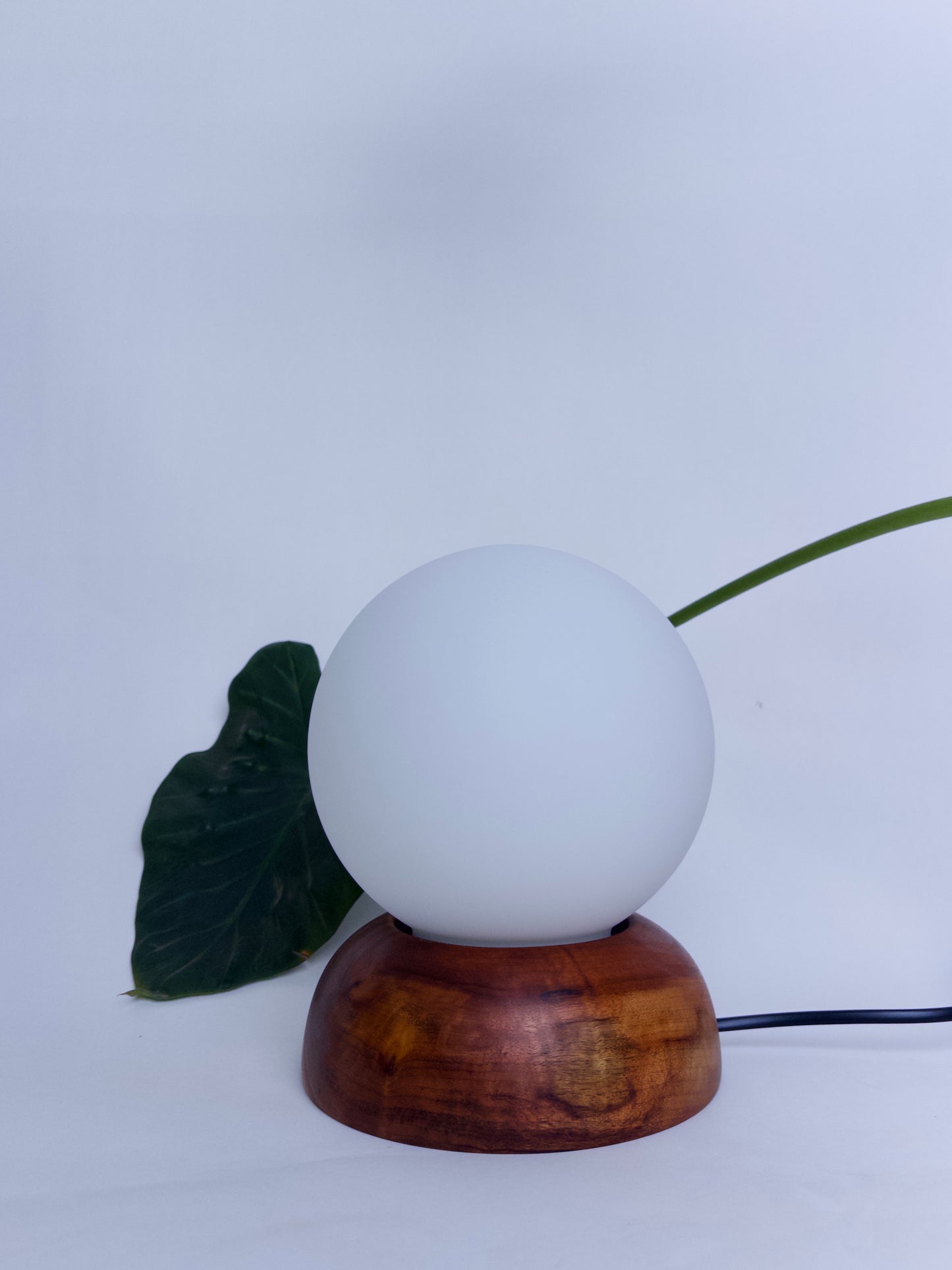 Moondrop Lamp Camphor 2