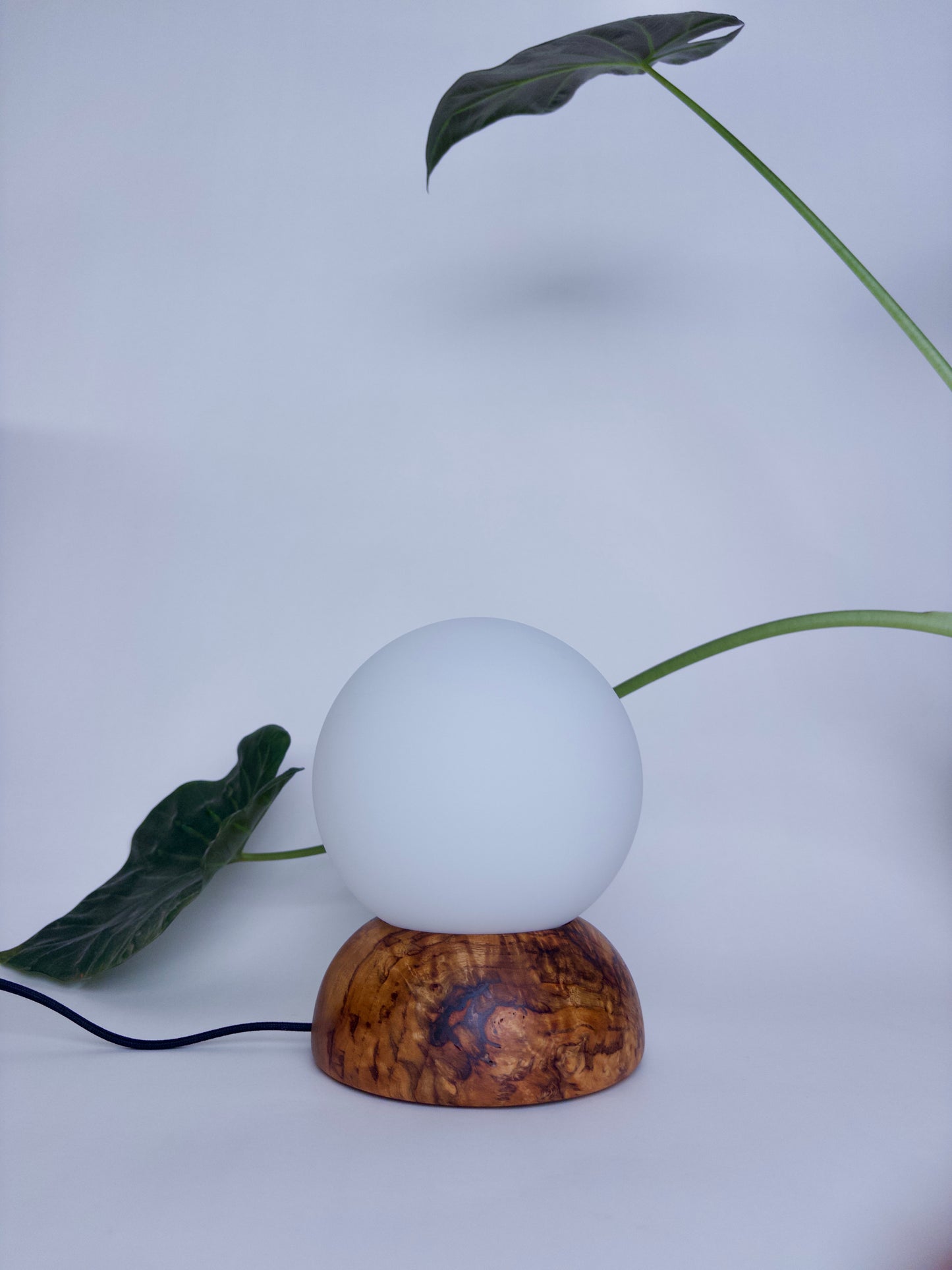 Camphor Moondrop Lamp 1