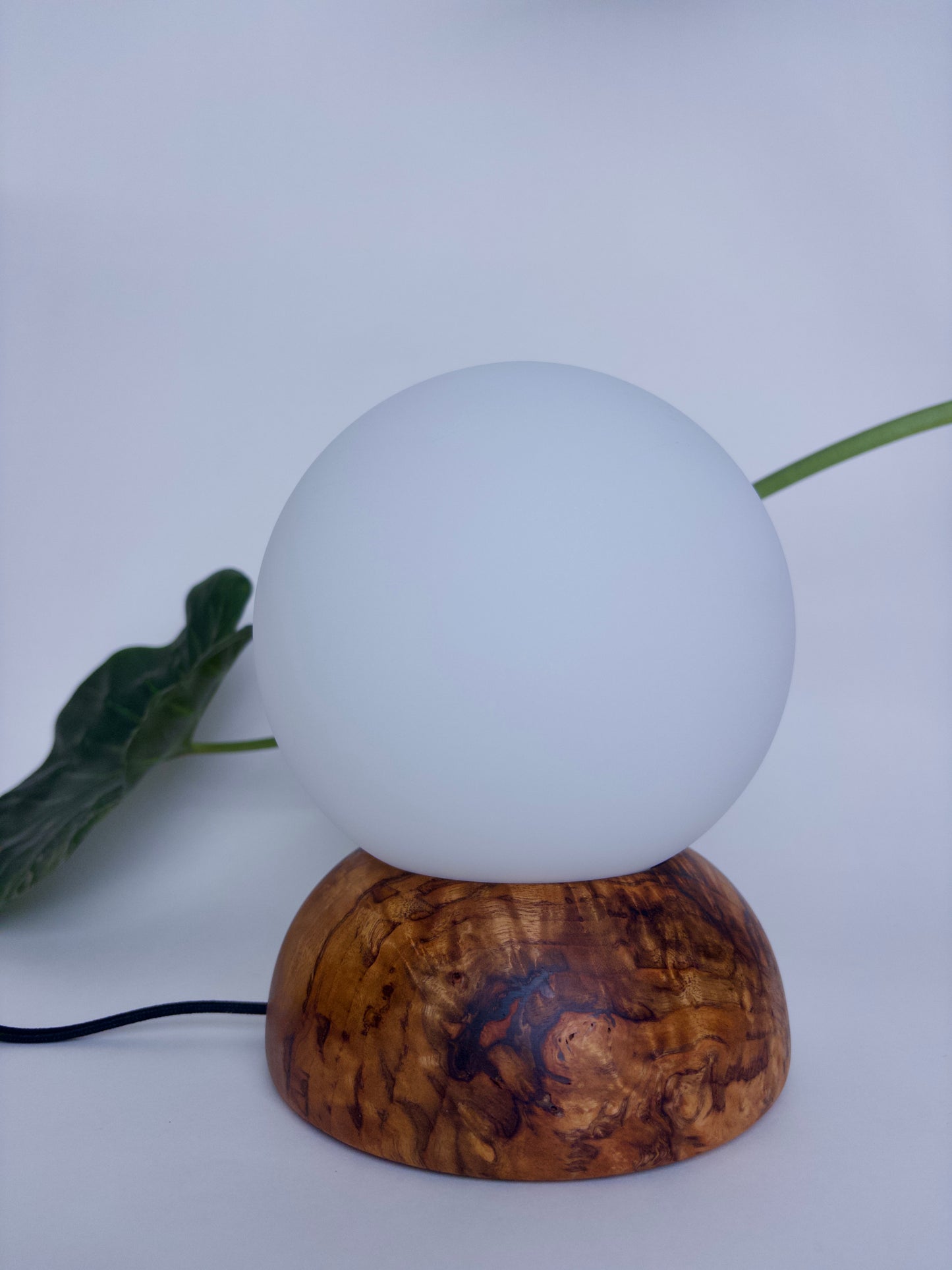 Camphor Moondrop Lamp 1