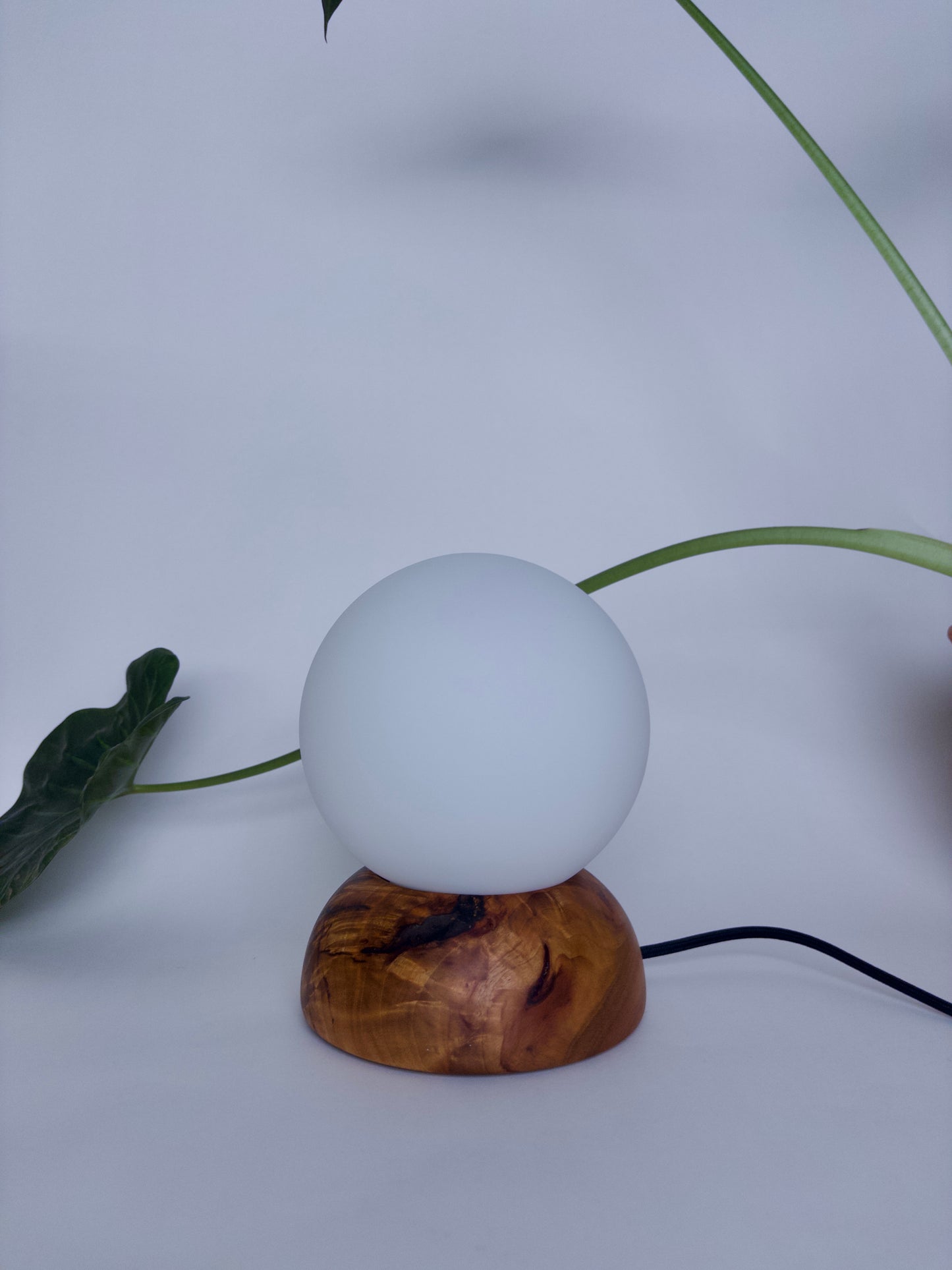 Camphor Moondrop Lamp 1