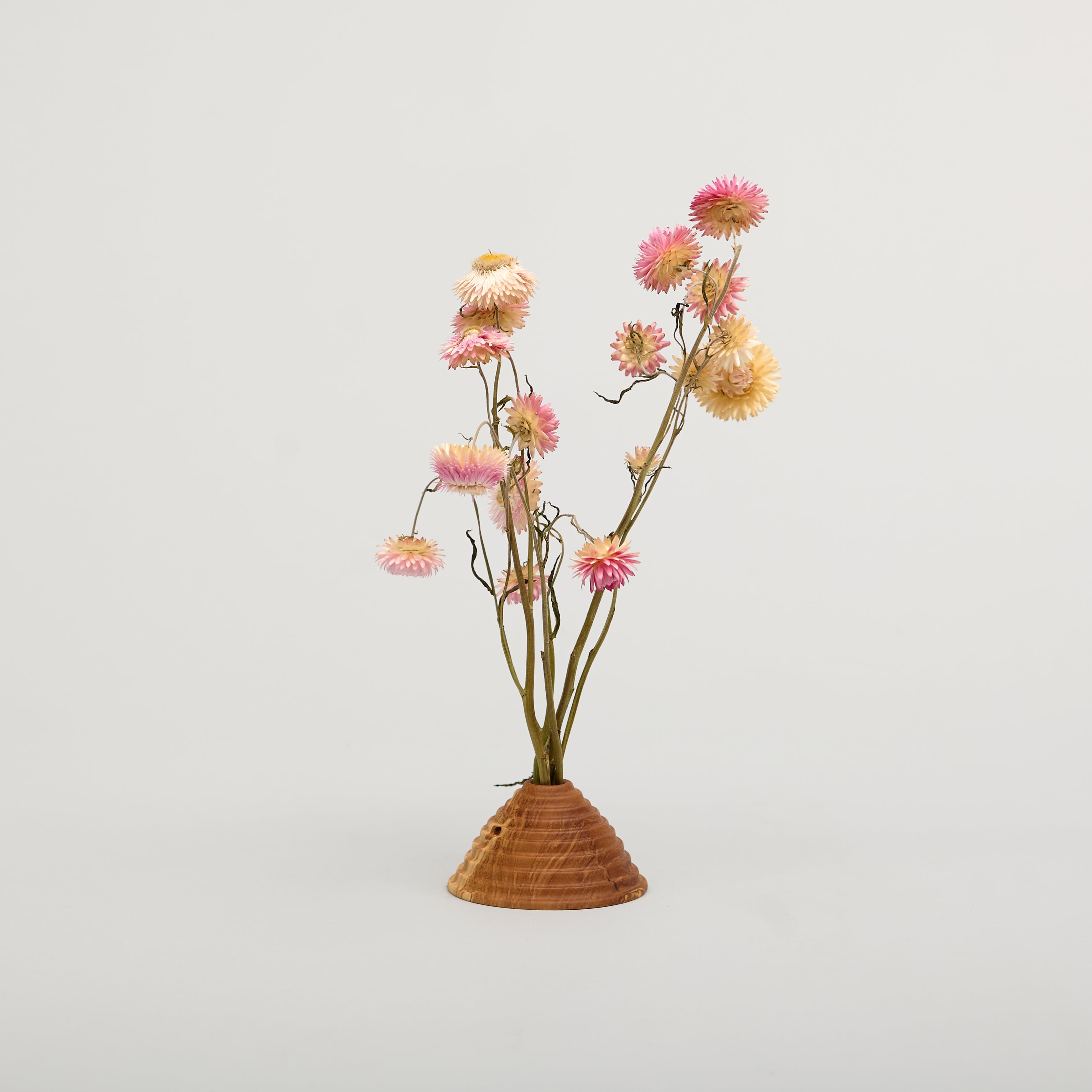 Olive Vase 1