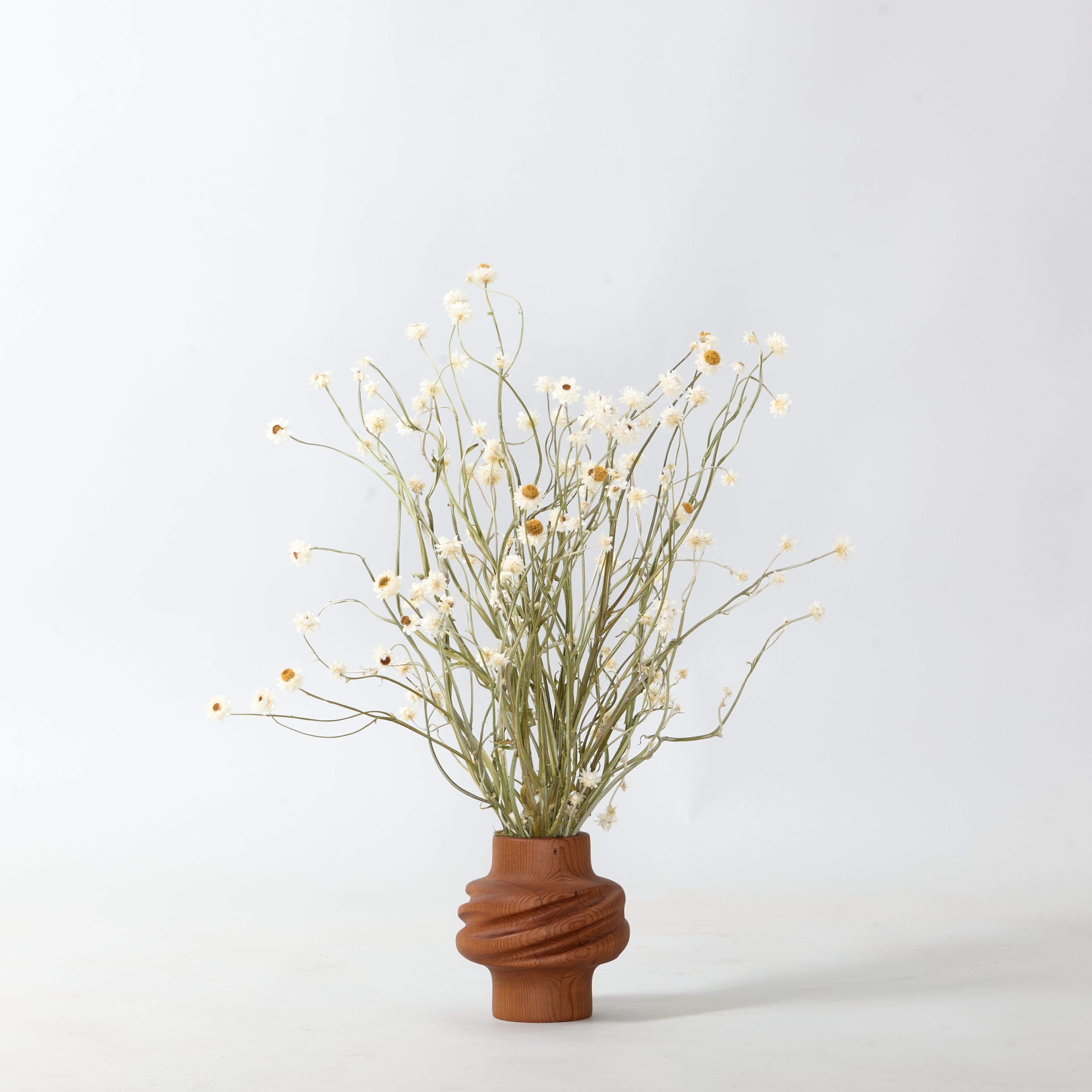 Redwood Svitok Vase 2